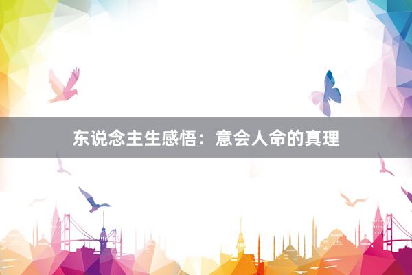 东说念主生感悟：意会人命的真理