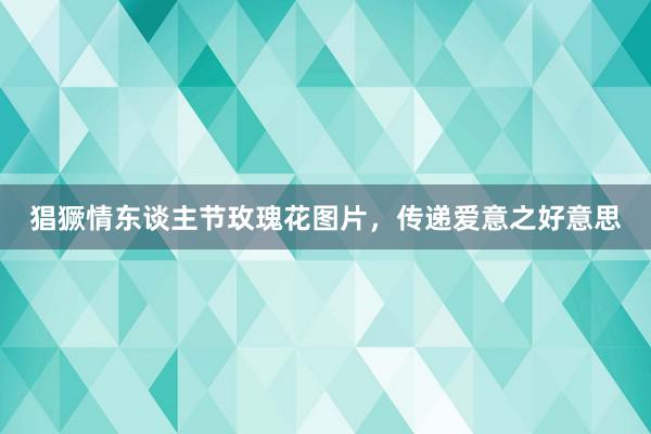 猖獗情东谈主节玫瑰花图片，传递爱意之好意思